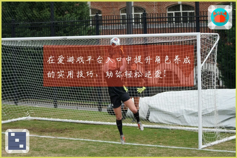 在爱游戏平台入口中提升角色养成的实用技巧,助你轻松逆袭!