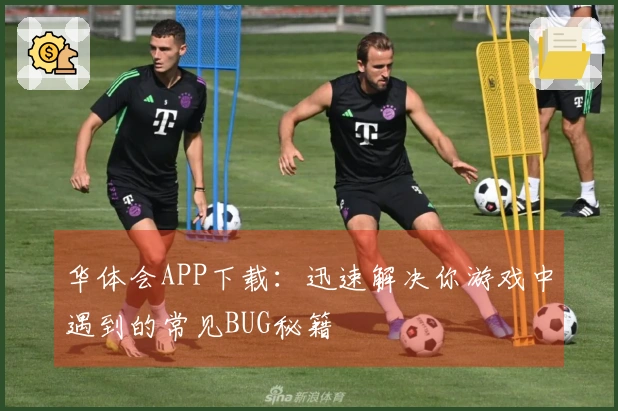 华体会APP下载：迅速解决你游戏中遇到的常见BUG秘籍